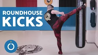 ROUNDHOUSE KICK TUTORIAL 🦵 (Low, Middle and High Kicks)