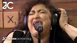 Amanda Miguel - Increíble voz cantando "El gato y yo" + "El me mintió" + "Así no te amará jamás"