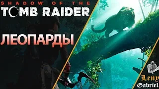 Shadow of the Tomb Raider прохождение - Обломки самолёта. Фюзеляж самолёта. Леопарды