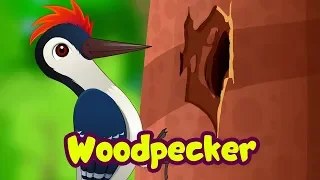 The Woodpecker Song | Bird Rhymes for Children | Infobells
