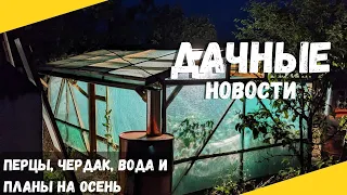 Дачные новости | Председательница уkpaла 500 000 гривен и скрылась | водопровод