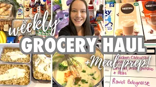 🛒 WEEKLY GROCERY HAUL AND MEAL PLAN | FREEZER MEAL PREP | WHATS FOR DINNER? DINNER IDEAS 2021 🍽