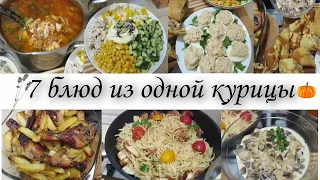 7 блюд из одной курицы🍱Готовлю на семью из 4-х человек на несколько дней✨ экономное меню