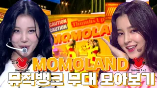 흥💃 넘치는 그룹 🌟모모랜드(MOMOLAND)🌟 뮤직뱅크 무대 모아보기 | #소장각 | KBS 방송