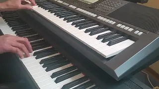 Für mich soll`s rote Rosen regnen - Keyboard & Piano