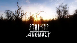 STALKER Anomaly Expedition 2.2.1 Самая лучшая и красивая графика за все время