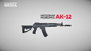 How to Disassemble an AK-12