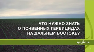 Применение почвенных гербицидов, опыт агрономов Дальнего Востока!