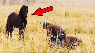 Man Rescues Foal In The Wild - Pay Close Attention To The Mother's Reaction!