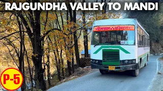 Rajgundha Valley to Mandi by HRTC bus - Magical Chauhar Valley | राजगुंधा-बरोट-मंडी  | Himbus