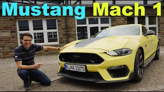 Ford Mustang Mach 1 REVIEW 460 hp 5.0 l V8 manual 🎱 🔥 🏁