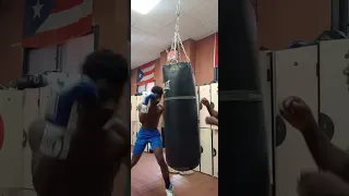 THIS IS COACH BOXER STUDENT BOXER KING CASTRO VERY AGGRESSIVE TRAINING