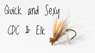 Tie A Quick AND Sexy - CDC & Elk -