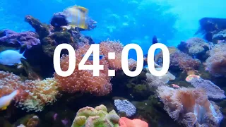 4 Minute Timer Relaxing Music Lofi Fish Background