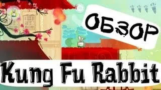 Обзор игрушки Kung Fu Rabbit