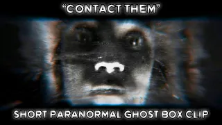 A Spirit tells me to “CONTACT THEM” | Short Hacked Jensen Ghost Box Radio Clip