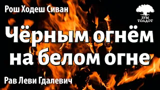 Чёрным огнём на белом огне. Рав Леви Гдалевич