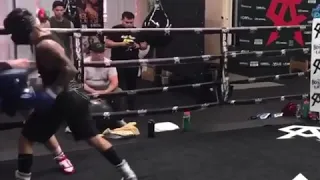 Canelo sparring oscar