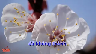 Bởi Vì Anh Yêu Em Karaoke