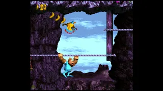 Ropey Rumpus 103% Walkthrough - Donkey Kong Country 3: Dixie Kong's Double Trouble! 103% Walkthrough