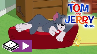 Die Tom & Jerry Show | Der Schlafwandler | Cartoonito