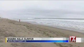 Surfer killed in shark attack along Northern California coast