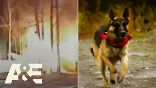 Police & Firefighters Led to House Fire By Family’s German Shepherd | An Animal Saved My Life | A&E