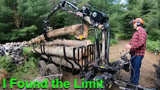 Little Log Loader Trailer Carries More than I Thought