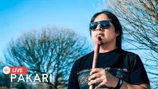 Pakari- Andean Music for Positive Energies