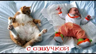 Приколы с котами С ОЗВУЧКОЙ! КОТЫ И ДЕТИ! Смешные животные! РЖАКА ДО СЛЕЗ!