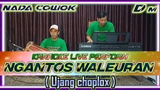 Ngantos waleuran-Ujang choplox karaoke nada Dm