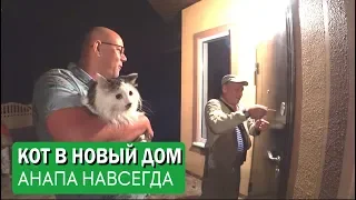 #Анапа #Гостагаевская Дом с сауной и гаражом принимает жильцов. Кот из Хабаровска.