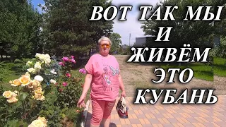 609ч Юг России п.Родники/Жизнь семьи на Кубани/Переехали на юг