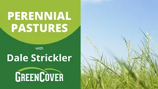 Perennial Pastures with Dale Strickler