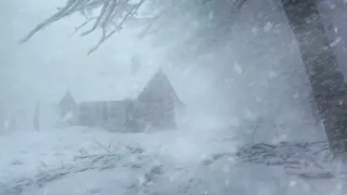 Fall Asleep Fast With Cold Blizzard Howling & Heavy Snow Wind | Icy Snowstorm Ambience