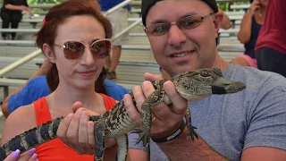 Everglades Alligator Farm and Airboat Ride 🇺🇸