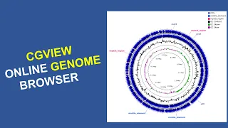 Bioinformatics for Beginners | Course | Genome visualization using the online CGView tool