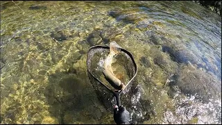 Another great day fishing at NewZealand.