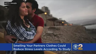 Smelling Your Partner’s Clothes Can Decrease Stress Level