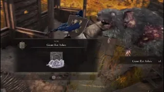 Elden Ring Giant Rat Ashes Location West Windmill Pasture Altus Plateau