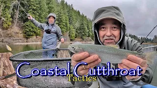 Coastal Cutthroat Fishing Tactics - How To - Downrigging Trolling Dropper Rigs. Kokanee -Trout gear