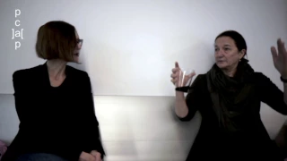 Artists and the Public Sphere: Marina Grzinic in conversation with Rosalyn Deutsche