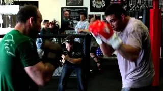 Werdum VS Wanderlei (sparring)