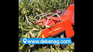 China DEKEN GIMIG 2 rows corn harvester 01