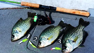 Triple Jig Crappie Rig catches 3 fish at ONE Time (30 Day  Challenge ep.7)