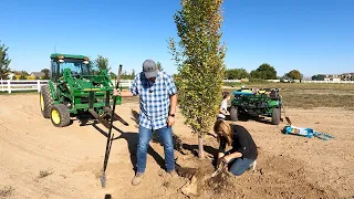 Planting The First Trees On The New Property + 2024 Lilacs! 🌳💜🙌 // Garden Answer