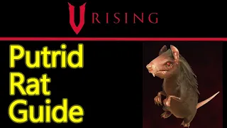 V Rising Putrid Rat boss guide and location