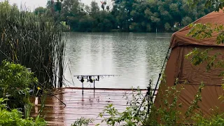 Як ловити Коропа Літом? Поради від досвідченого спортсмена