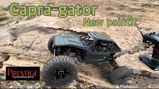 Axial Capra gets a paint job- how to over view