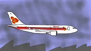Thai Airways Flight 311 in Countryballs